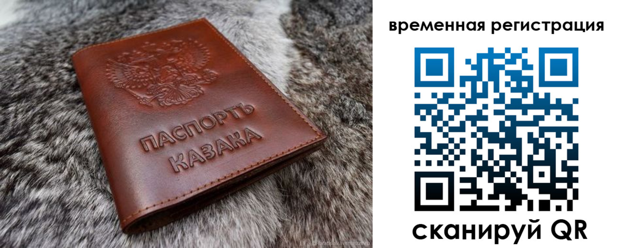 прописка 2025 в Завитинске